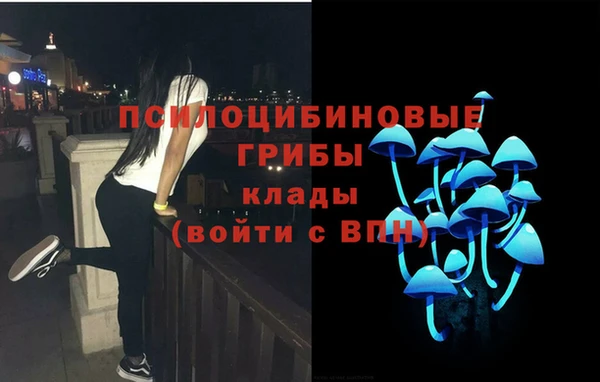 СК Гусев