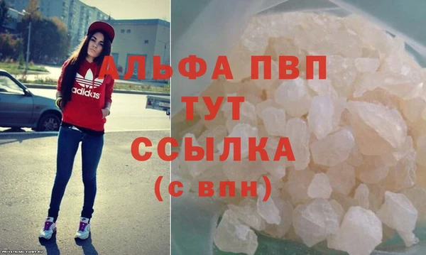 СК Гусев